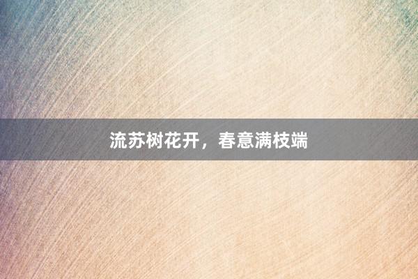 流苏树花开，春意满枝端