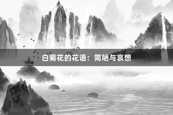白菊花的花语：简陋与哀想