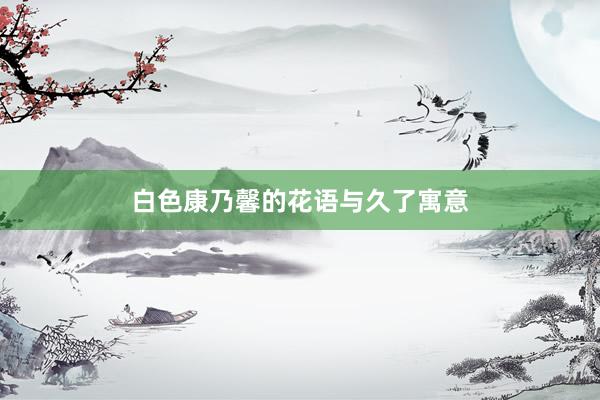 白色康乃馨的花语与久了寓意