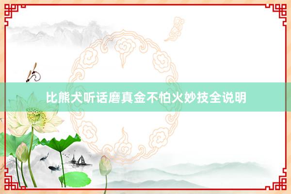 比熊犬听话磨真金不怕火妙技全说明