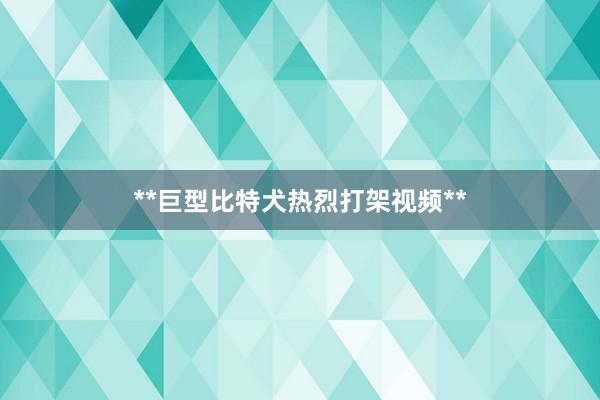 **巨型比特犬热烈打架视频**