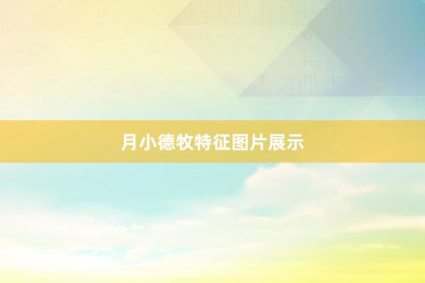月小德牧特征图片展示