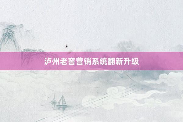 泸州老窖营销系统翻新升级